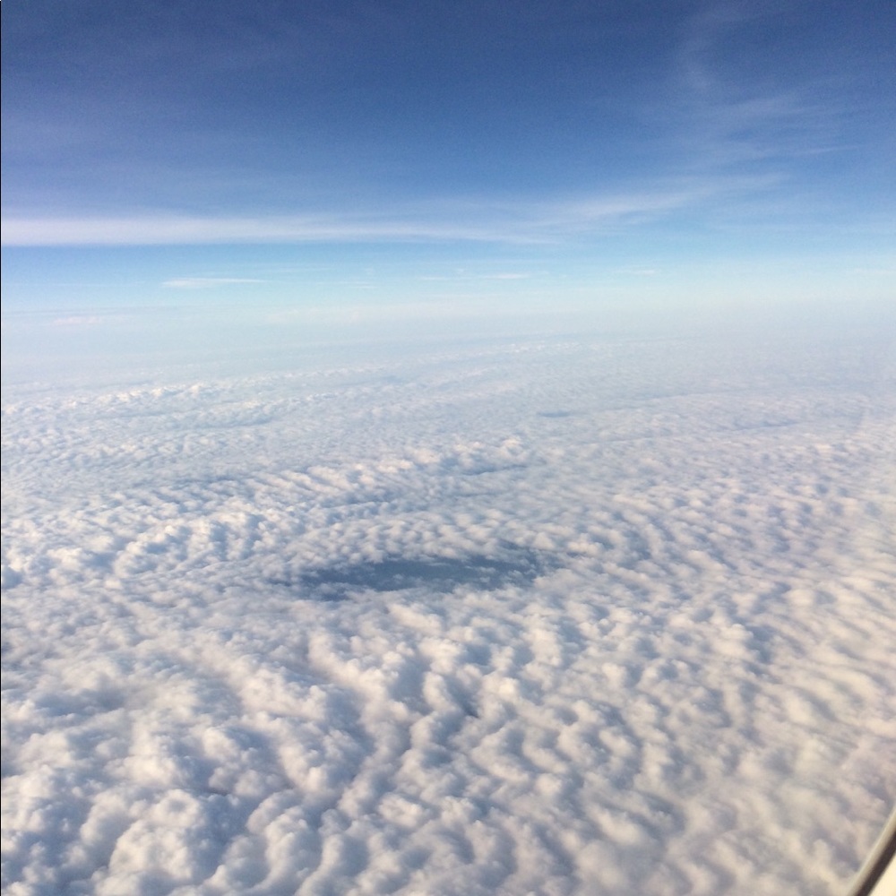 Meet your Posher, Carolina